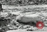 Image of Great Depression programs for improved roads and facilities Ohio United States USA, 1937, second 30 stock footage video 65675030502