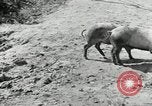 Image of Great Depression programs for improved roads and facilities Ohio United States USA, 1937, second 33 stock footage video 65675030502