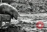 Image of Great Depression programs for improved roads and facilities Ohio United States USA, 1937, second 35 stock footage video 65675030502