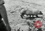 Image of Great Depression programs for improved roads and facilities Ohio United States USA, 1937, second 36 stock footage video 65675030502