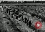 Image of Great Depression programs for improved roads and facilities Ohio United States USA, 1937, second 46 stock footage video 65675030502