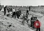 Image of Great Depression programs for improved roads and facilities Ohio United States USA, 1937, second 53 stock footage video 65675030502