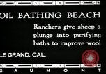 Immagine di Bagno di olio caldo Le Grand California USA, 1920, secondo 4 filmato di repertorio 65675030512