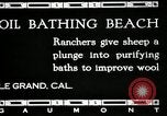 Immagine di Bagno di olio caldo Le Grand California USA, 1920, secondo 6 filmato di repertorio 65675030512
