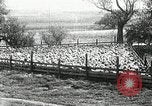 Immagine di Bagno di olio caldo Le Grand California USA, 1920, secondo 13 filmato di repertorio 65675030512