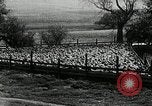 Immagine di Bagno di olio caldo Le Grand California USA, 1920, secondo 14 filmato di repertorio 65675030512