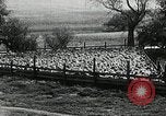 Immagine di Bagno di olio caldo Le Grand California USA, 1920, secondo 16 filmato di repertorio 65675030512