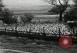 Immagine di Bagno di olio caldo Le Grand California USA, 1920, secondo 17 filmato di repertorio 65675030512