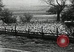 Immagine di Bagno di olio caldo Le Grand California USA, 1920, secondo 18 filmato di repertorio 65675030512