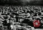 Immagine di Bagno di olio caldo Le Grand California USA, 1920, secondo 20 filmato di repertorio 65675030512