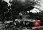 Immagine di Bagno di olio caldo Le Grand California USA, 1920, secondo 42 filmato di repertorio 65675030512
