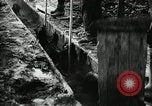 Immagine di Bagno di olio caldo Le Grand California USA, 1920, secondo 50 filmato di repertorio 65675030512