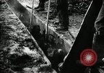 Immagine di Bagno di olio caldo Le Grand California USA, 1920, secondo 54 filmato di repertorio 65675030512