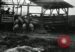 Immagine di Bagno di olio caldo Le Grand California USA, 1920, secondo 59 filmato di repertorio 65675030512