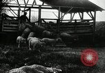 Immagine di Bagno di olio caldo Le Grand California USA, 1920, secondo 62 filmato di repertorio 65675030512