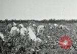 Image of Pan American Congress of Journalists New York United States USA, 1929, second 31 stock footage video 65675030521