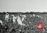Image of Pan American Congress of Journalists New York United States USA, 1929, second 32 stock footage video 65675030521