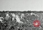 Image of Pan American Congress of Journalists New York United States USA, 1929, second 33 stock footage video 65675030521