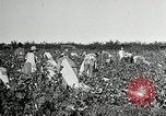 Image of Pan American Congress of Journalists New York United States USA, 1929, second 34 stock footage video 65675030521