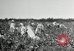 Image of Pan American Congress of Journalists New York United States USA, 1929, second 35 stock footage video 65675030521