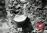 Image of Pan American Congress of Journalists Akron Ohio USA, 1927, second 36 stock footage video 65675030523