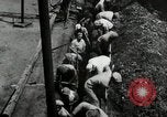 Immagine di Posti di lavoro presso le fabbriche in America durante la Grande Depressione United States USA, 1932, secondo 28 filmato di repertorio 65675030527