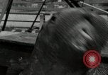 Immagine di Trichechi dall'Alaska San Diego California USA, 1932, secondo 12 filmato di repertorio 65675030533