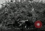 Standbild Obstanlagen United States USA, 1916, aus Sekunde 44 historischem Filmmaterial Videoclip 65675030537