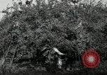 Standbild Obstanlagen United States USA, 1916, aus Sekunde 48 historischem Filmmaterial Videoclip 65675030537