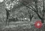 Standbild Obstanlagen United States USA, 1916, aus Sekunde 51 historischem Filmmaterial Videoclip 65675030537