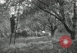 Standbild Obstanlagen United States USA, 1916, aus Sekunde 54 historischem Filmmaterial Videoclip 65675030537