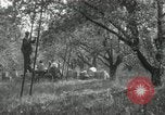 Standbild Obstanlagen United States USA, 1916, aus Sekunde 55 historischem Filmmaterial Videoclip 65675030537