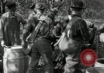 Standbild Obstanlagen United States USA, 1916, aus Sekunde 60 historischem Filmmaterial Videoclip 65675030537