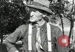 Standbild apple Pfropfen Techniken United States USA, 1916, aus Sekunde 14 historischem Filmmaterial Videoclip 65675030538