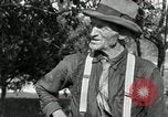 Standbild apple Pfropfen Techniken United States USA, 1916, aus Sekunde 19 historischem Filmmaterial Videoclip 65675030538