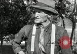 Standbild apple Pfropfen Techniken United States USA, 1916, aus Sekunde 20 historischem Filmmaterial Videoclip 65675030538