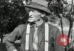 Standbild apple Pfropfen Techniken United States USA, 1916, aus Sekunde 21 historischem Filmmaterial Videoclip 65675030538