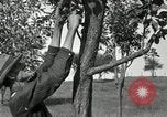 Standbild apple Pfropfen Techniken United States USA, 1916, aus Sekunde 26 historischem Filmmaterial Videoclip 65675030538