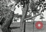 Standbild apple Pfropfen Techniken United States USA, 1916, aus Sekunde 29 historischem Filmmaterial Videoclip 65675030538