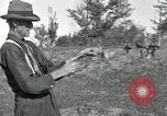 Standbild apple Pfropfen Techniken United States USA, 1916, aus Sekunde 34 historischem Filmmaterial Videoclip 65675030538