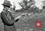 Standbild apple Pfropfen Techniken United States USA, 1916, aus Sekunde 35 historischem Filmmaterial Videoclip 65675030538