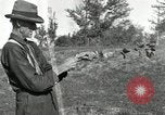 Standbild apple Pfropfen Techniken United States USA, 1916, aus Sekunde 36 historischem Filmmaterial Videoclip 65675030538