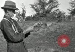 Standbild apple Pfropfen Techniken United States USA, 1916, aus Sekunde 37 historischem Filmmaterial Videoclip 65675030538