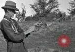 Standbild apple Pfropfen Techniken United States USA, 1916, aus Sekunde 38 historischem Filmmaterial Videoclip 65675030538
