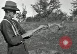 Standbild apple Pfropfen Techniken United States USA, 1916, aus Sekunde 39 historischem Filmmaterial Videoclip 65675030538