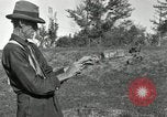 Standbild apple Pfropfen Techniken United States USA, 1916, aus Sekunde 40 historischem Filmmaterial Videoclip 65675030538