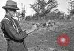 Standbild apple Pfropfen Techniken United States USA, 1916, aus Sekunde 41 historischem Filmmaterial Videoclip 65675030538