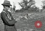 Standbild apple Pfropfen Techniken United States USA, 1916, aus Sekunde 42 historischem Filmmaterial Videoclip 65675030538