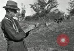 Standbild apple Pfropfen Techniken United States USA, 1916, aus Sekunde 44 historischem Filmmaterial Videoclip 65675030538