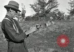 Standbild apple Pfropfen Techniken United States USA, 1916, aus Sekunde 47 historischem Filmmaterial Videoclip 65675030538